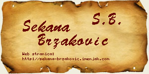 Sekana Brzaković vizit kartica